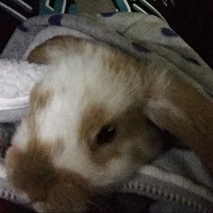 Meet your Posher, Danielle